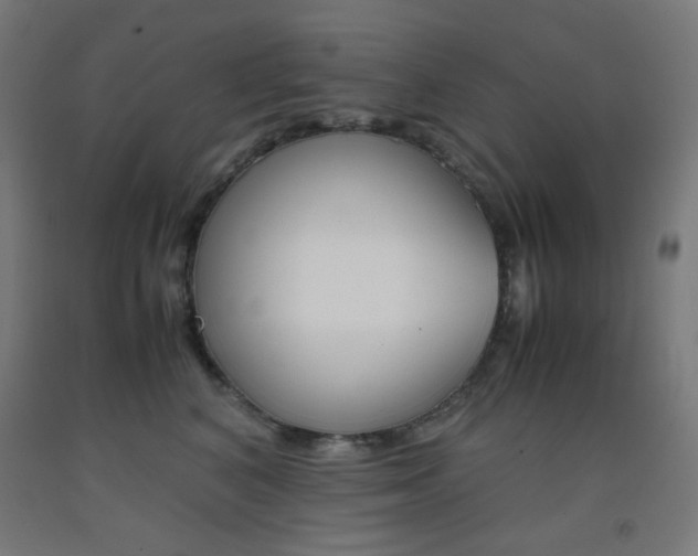 X0000093230616200709261510