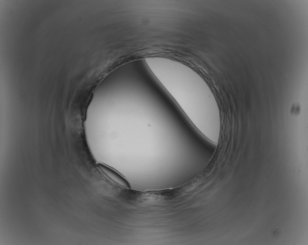 X0000093230617200709261510