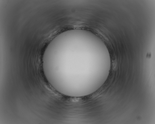 X0000093230618200709261510