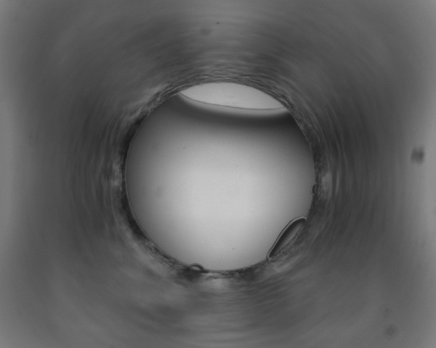 X0000093230620200709261510