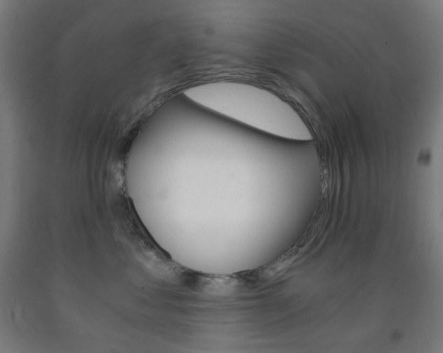 X0000093230621200709261510