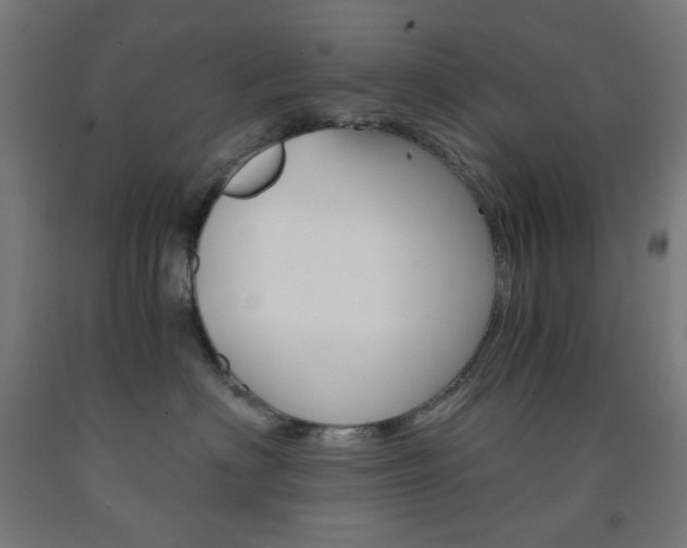 X0000093230622200709261510