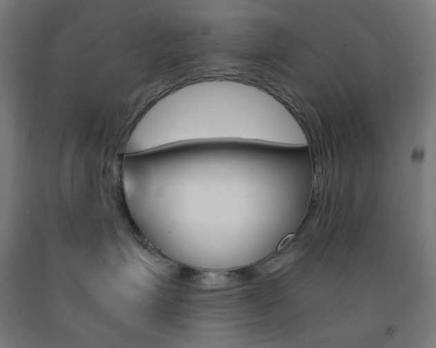 X0000093230623200709261510