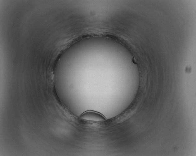 X0000093230624200709261510