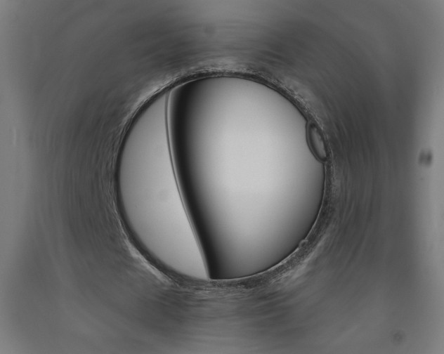 X0000093230625200709261510