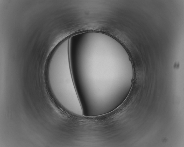 X0000093230626200709261510