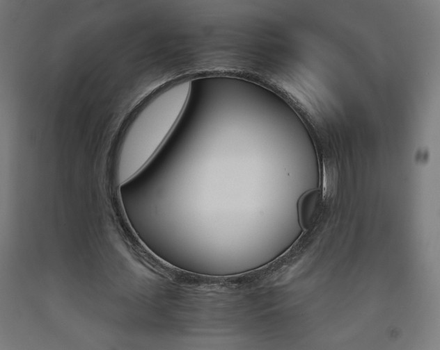 X0000093230627200709261510