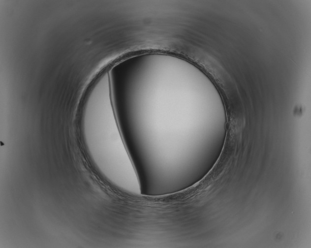 X0000093230628200709261510