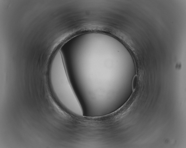 X0000093230629200709261510