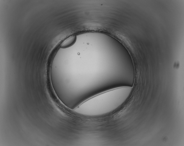 X0000093230630200709261510