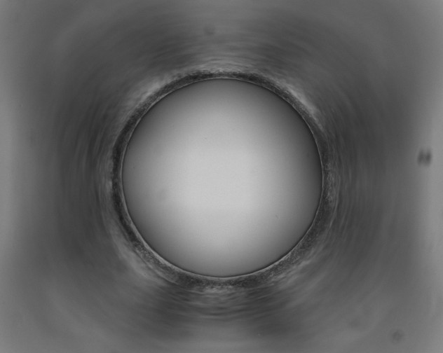 X0000093230631200709261510