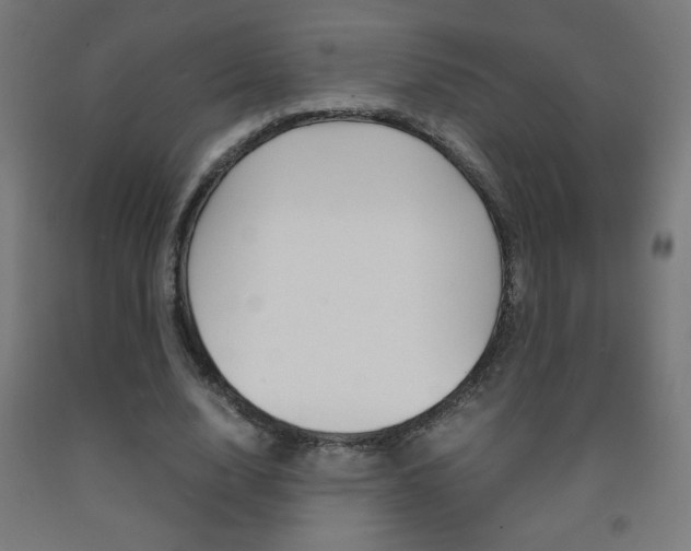 X0000093230632200709261510