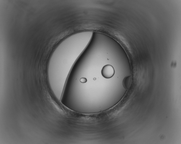 X0000093230633200709261510