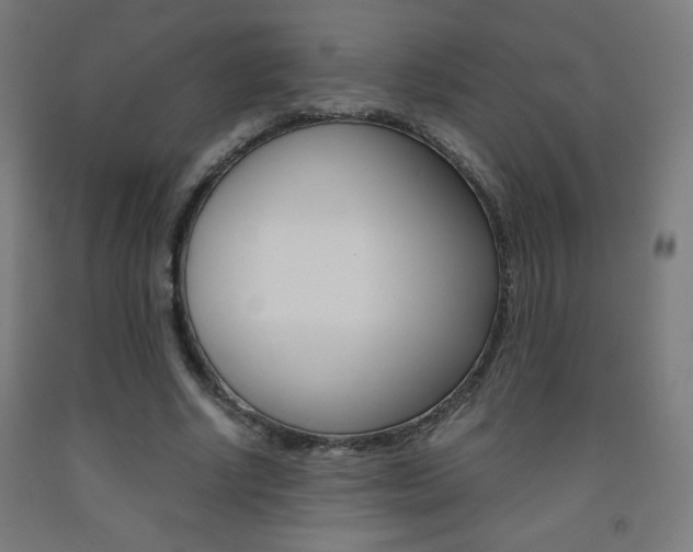 X0000093230634200709261510