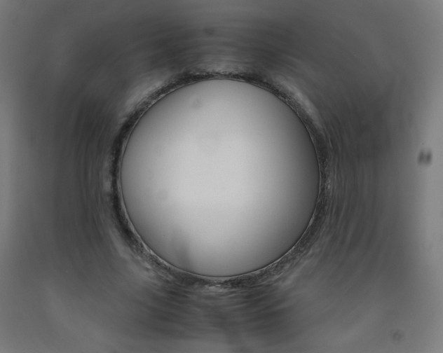 X0000093230635200709261510