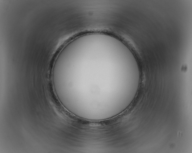 X0000093230636200709261510