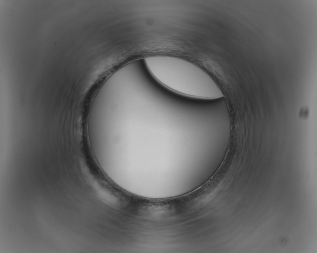 X0000093230638200709261510