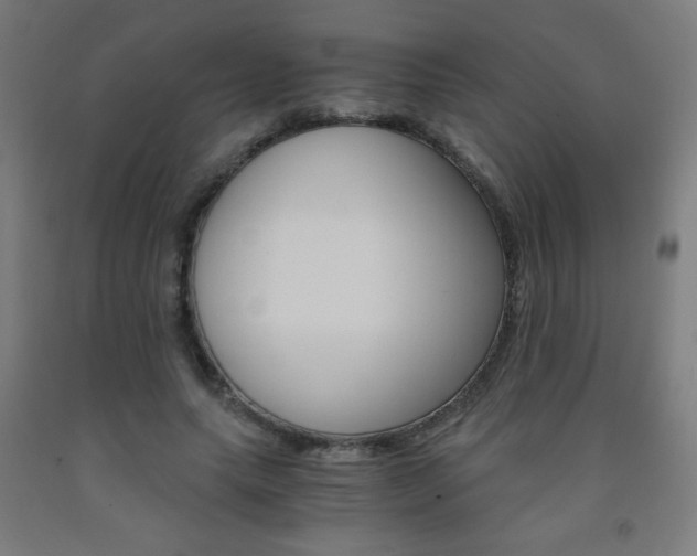 X0000093230639200709261510