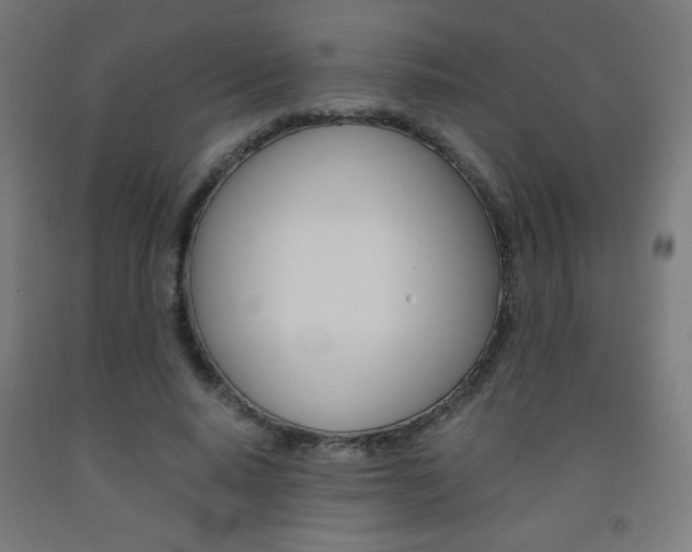 X0000093230640200709261510