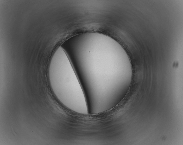 X0000093230641200709261510
