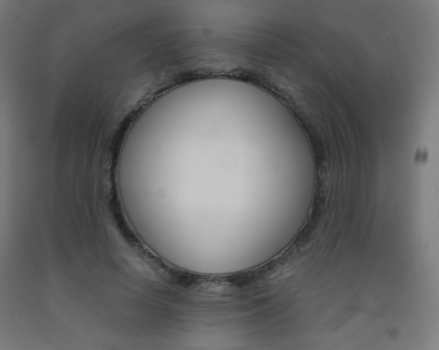 X0000093230642200709261510