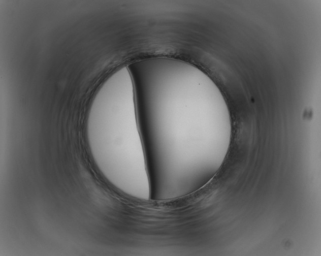 X0000093230643200709261510