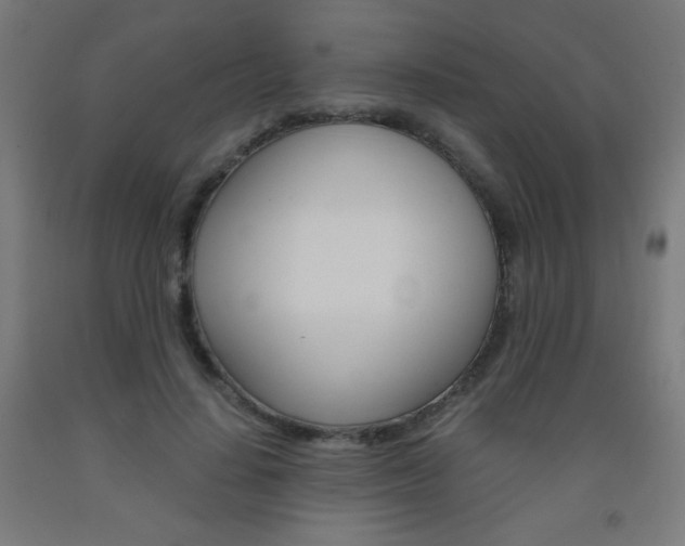 X0000093230644200709261510