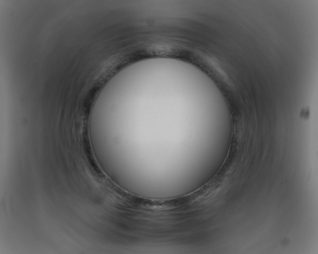 X0000093230645200709261510