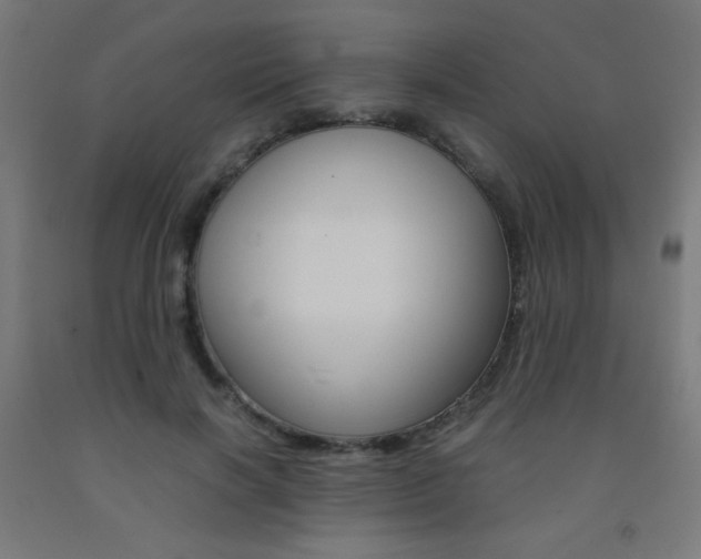 X0000093230646200709261510