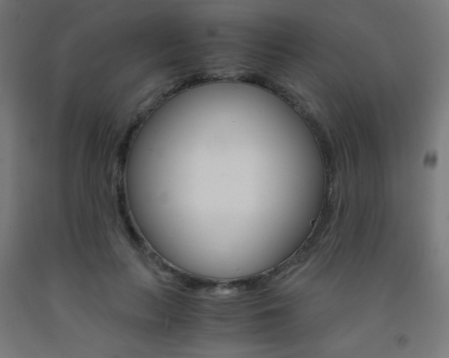X0000093230647200709261510