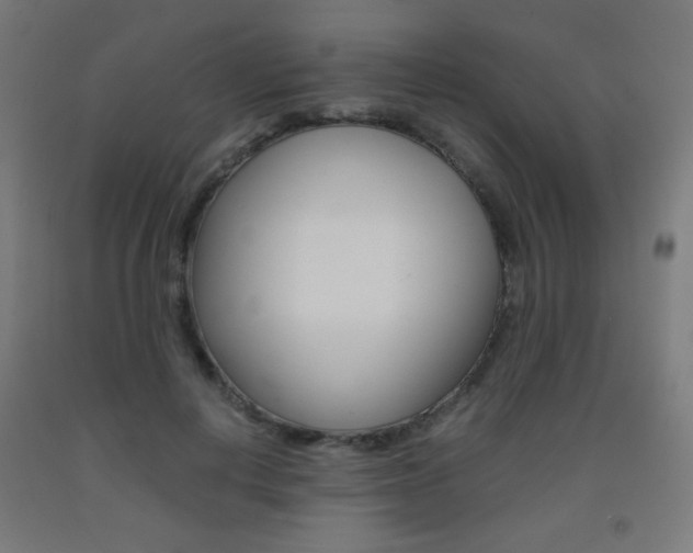 X0000093230648200709261510