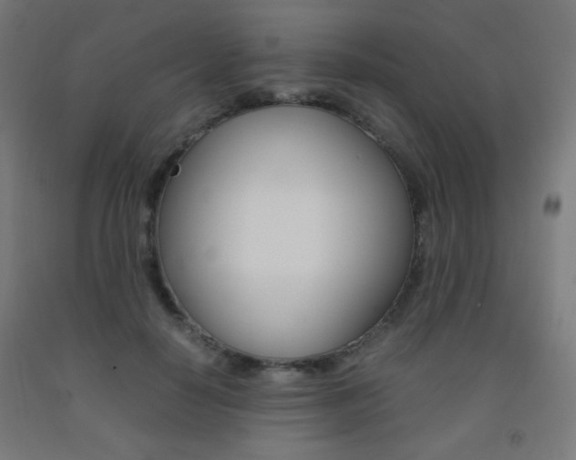 X0000093230650200709261510