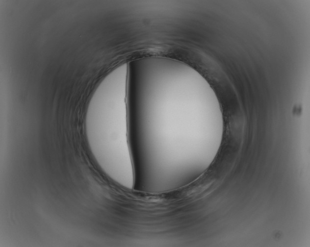 X0000093230651200709261510