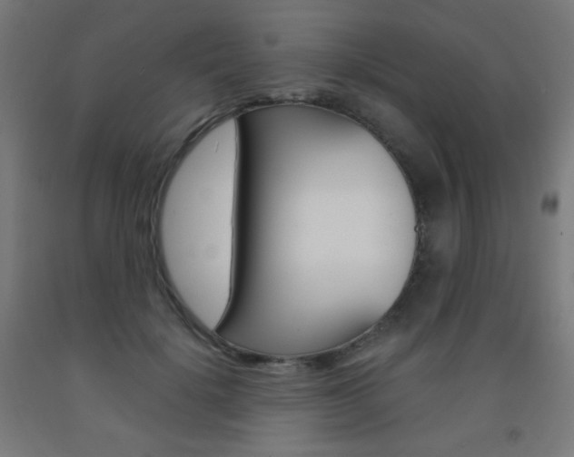 X0000093230652200709261510