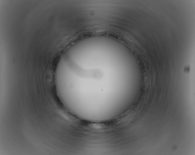 X0000093230654200709261510
