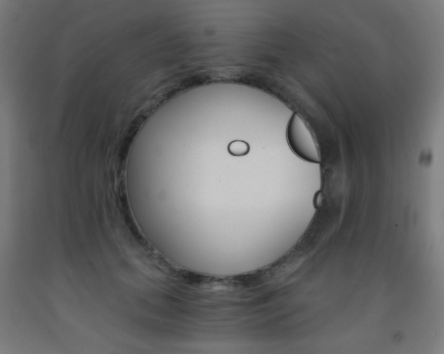 X0000093230655200709261510