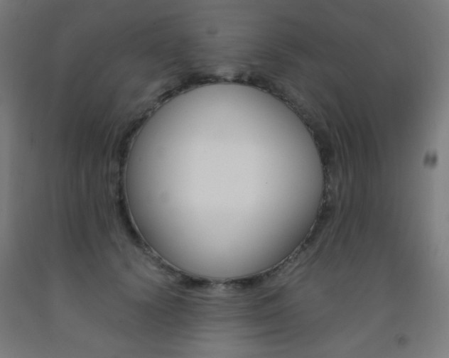 X0000093230656200709261510