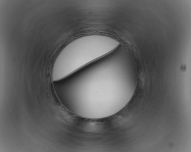 X0000093230657200709261510