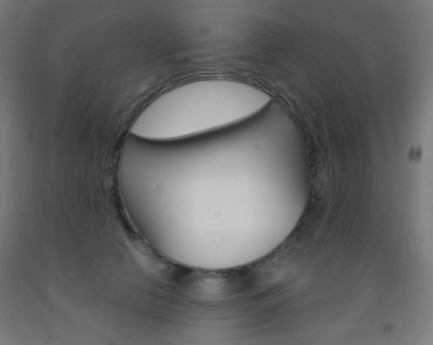 X0000093230658200709261510