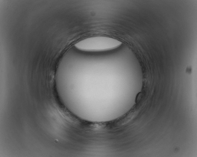 X0000093230660200709261510