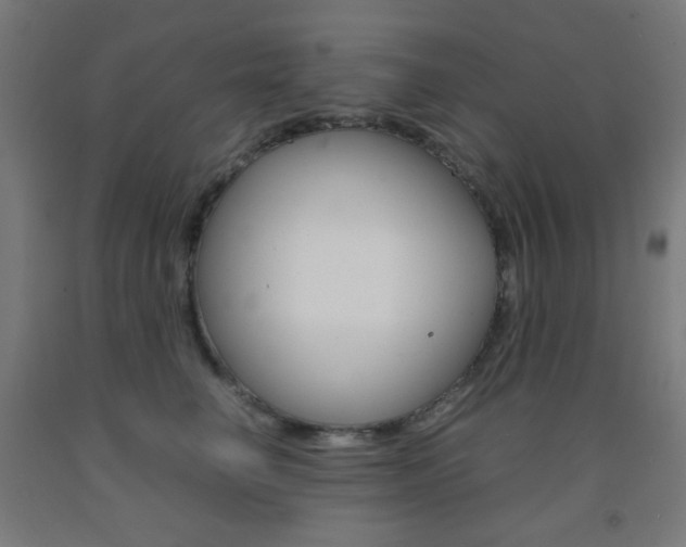 X0000093230662200709261510