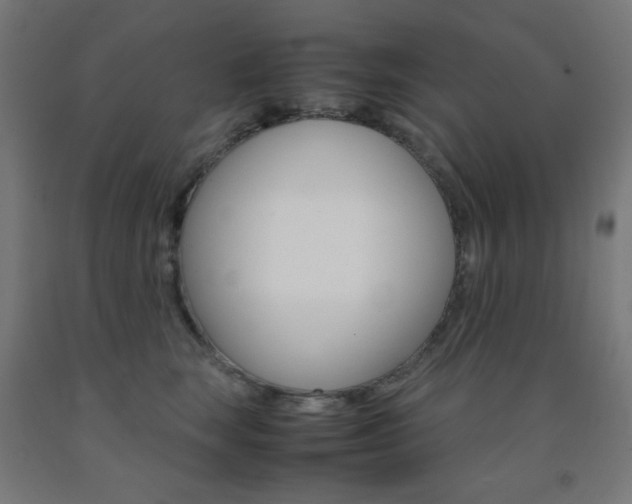 X0000093230663200709261510