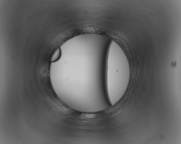 X0000093230665200709261510