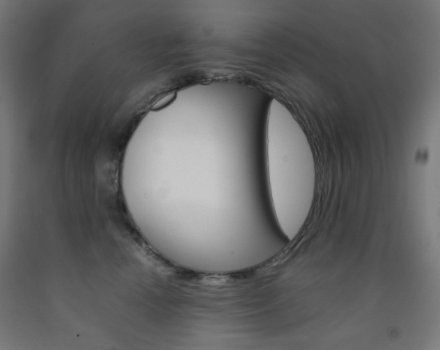 X0000093230666200709261510