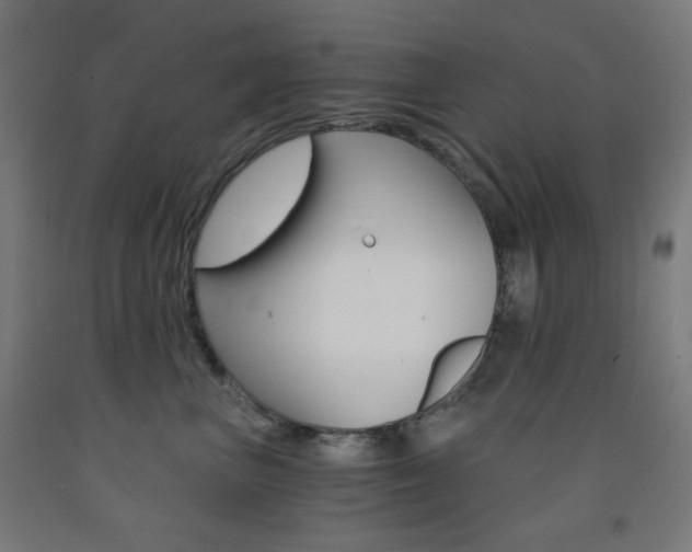 X0000093230667200709261510