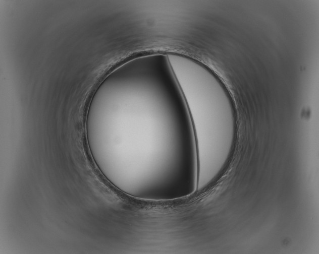 X0000093230673200709261510