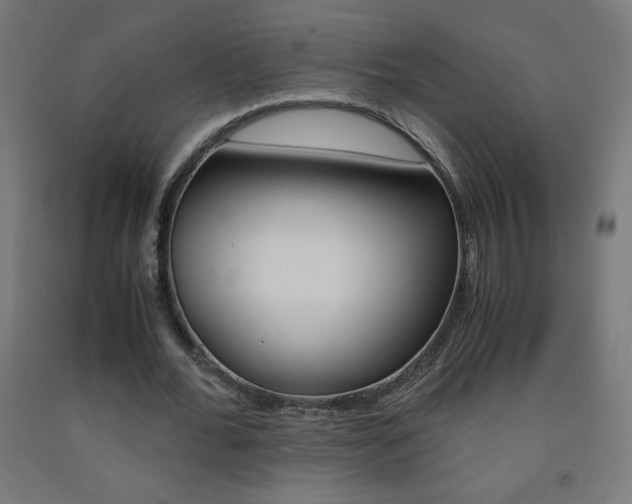 X0000093230676200709261510