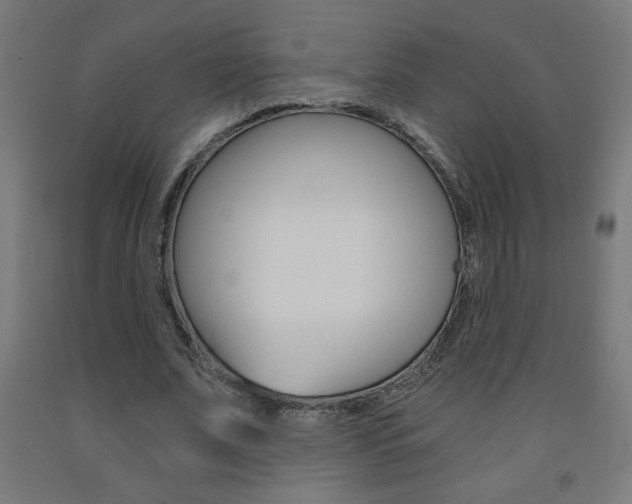 X0000093230679200709261510