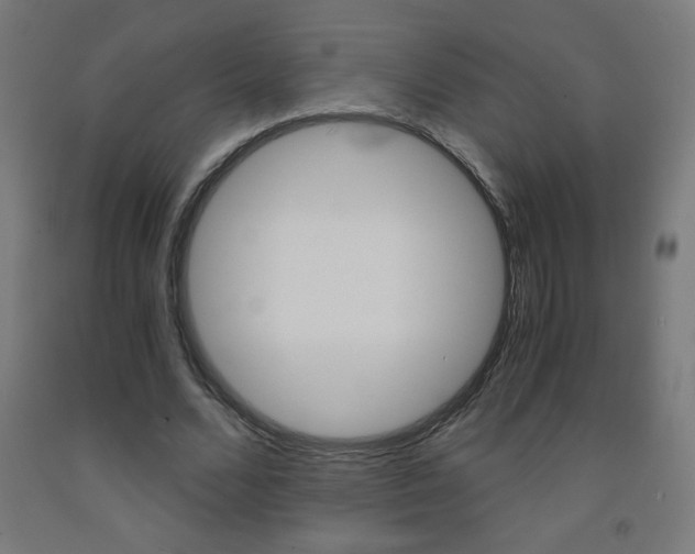 X0000093230680200709261510
