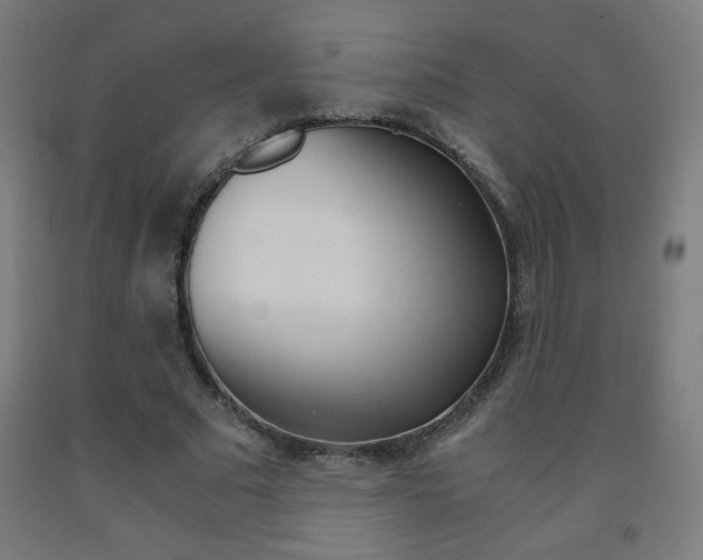 X0000093230681200709261510